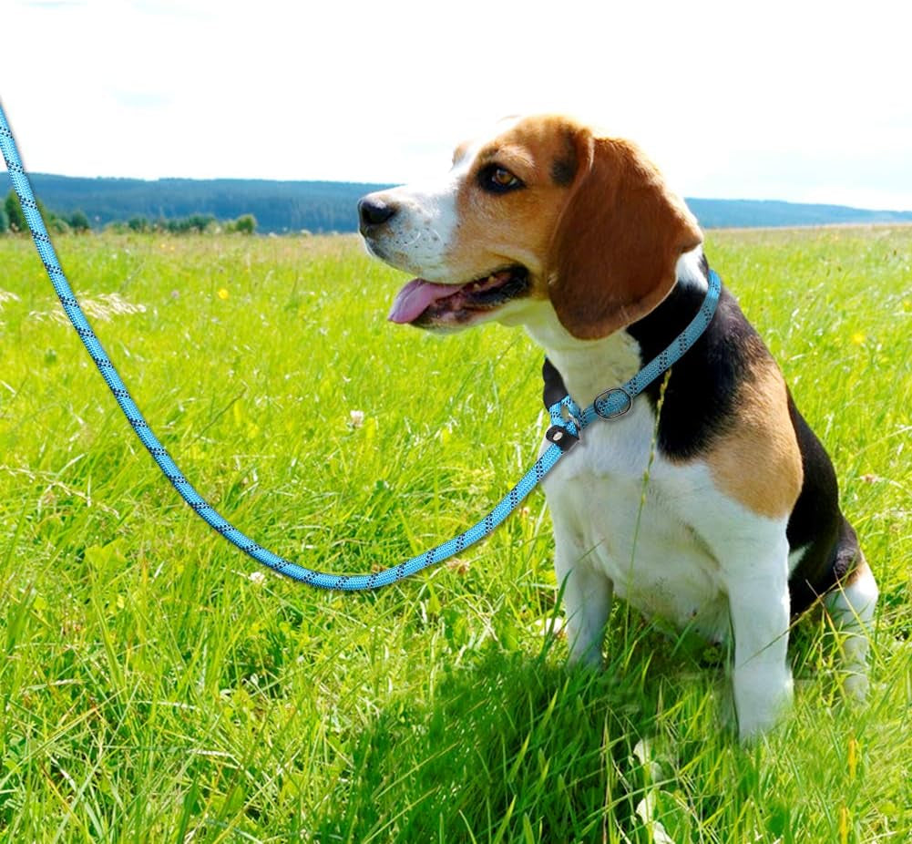 Slip Lead for Dogs No Pull Training Lead 1.8M Reflective Dog Lead with Padded Handle & Anti-Choke Stopper, S/M/L for Small Medium Large Dogs