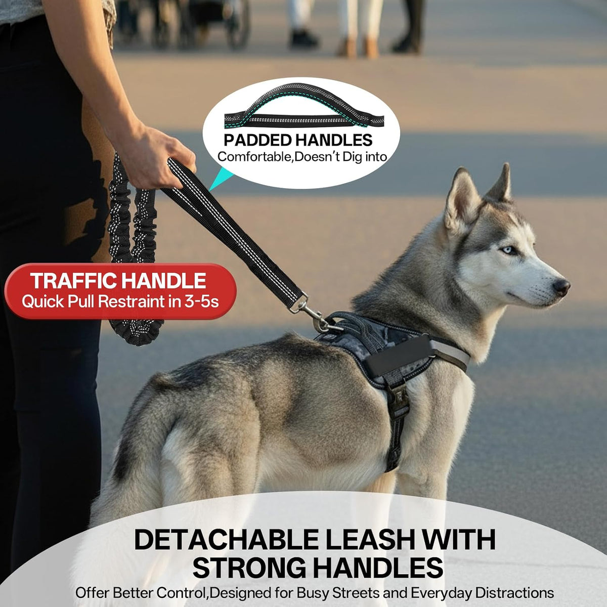 Hands Free Dog Lead 108Kg Heavy Duty Bungee Leash with Bum Bag