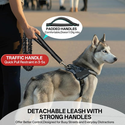 Hands Free Dog Lead 108Kg Heavy Duty Bungee Leash with Bum Bag
