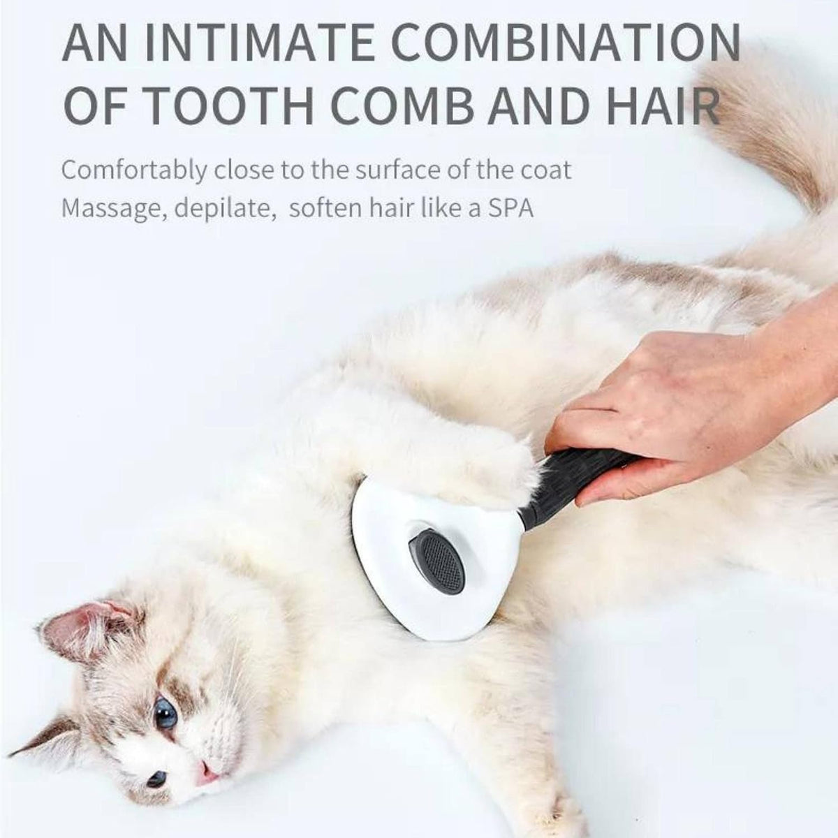 Muxtraders Cat Brush for Shedding - Grooming Comb for Kittens and Puppies, Removes Mats and Tangles, Long or Short Haired Indoor Pets
