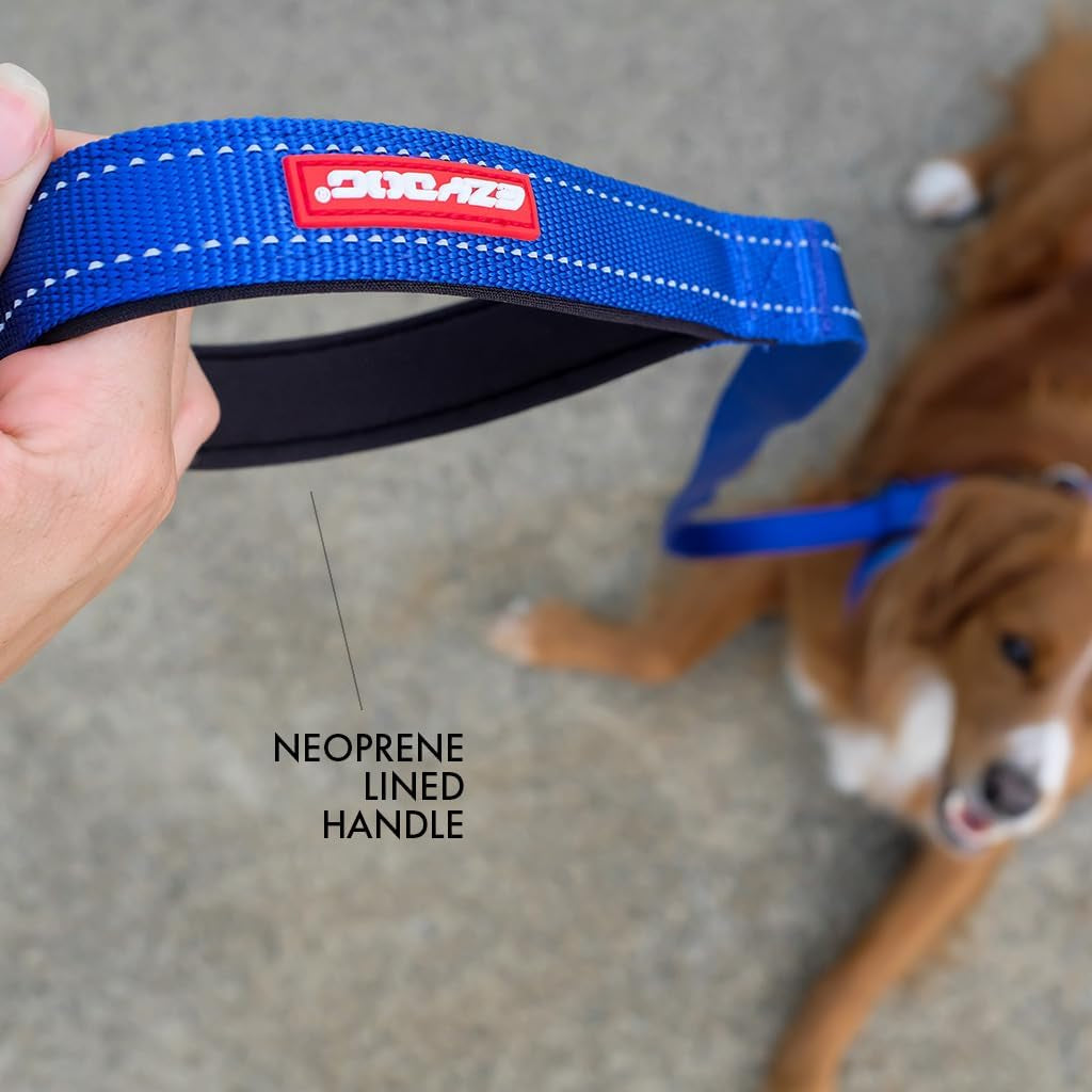 Essential Soft Webbing Lead with Neoprene Handle, Reflective, Tough Nylon, Carbon Snap Clip (120Cm, Khaki)