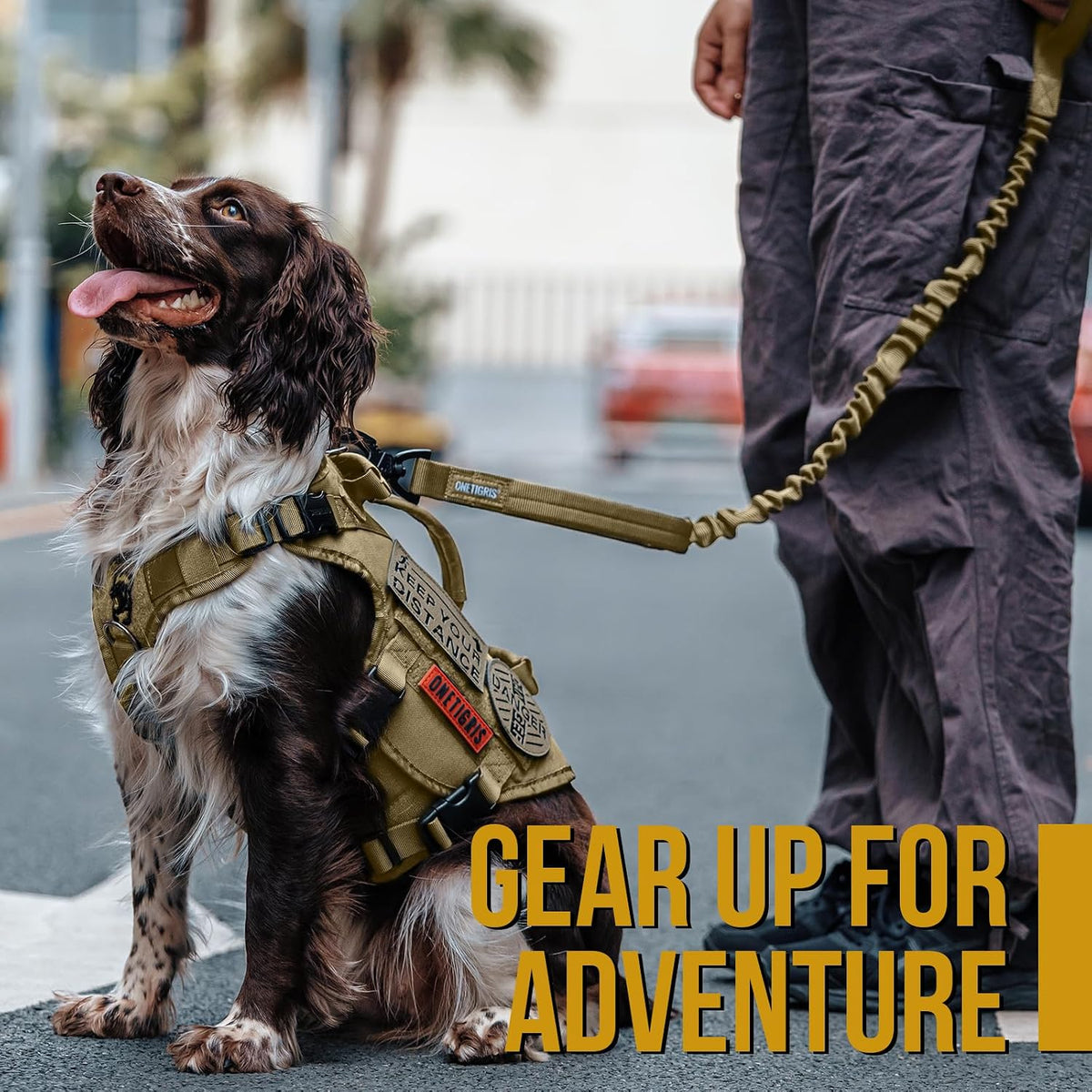 Tactical Dog Training Leash Bungee Leash with 2 Control Handle Quick Release Nylon Leads Rope