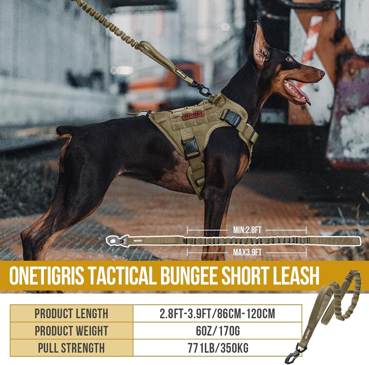 Tactical Dog Training Leash Bungee Leash with 2 Control Handle Quick Release Nylon Leads Rope