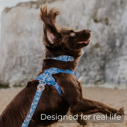 Coastal Dog Lead –Soft Velvet Handle Dog Lead for Small, Medium, & Large Dogs – by  (Ocean Life, 3/4")
