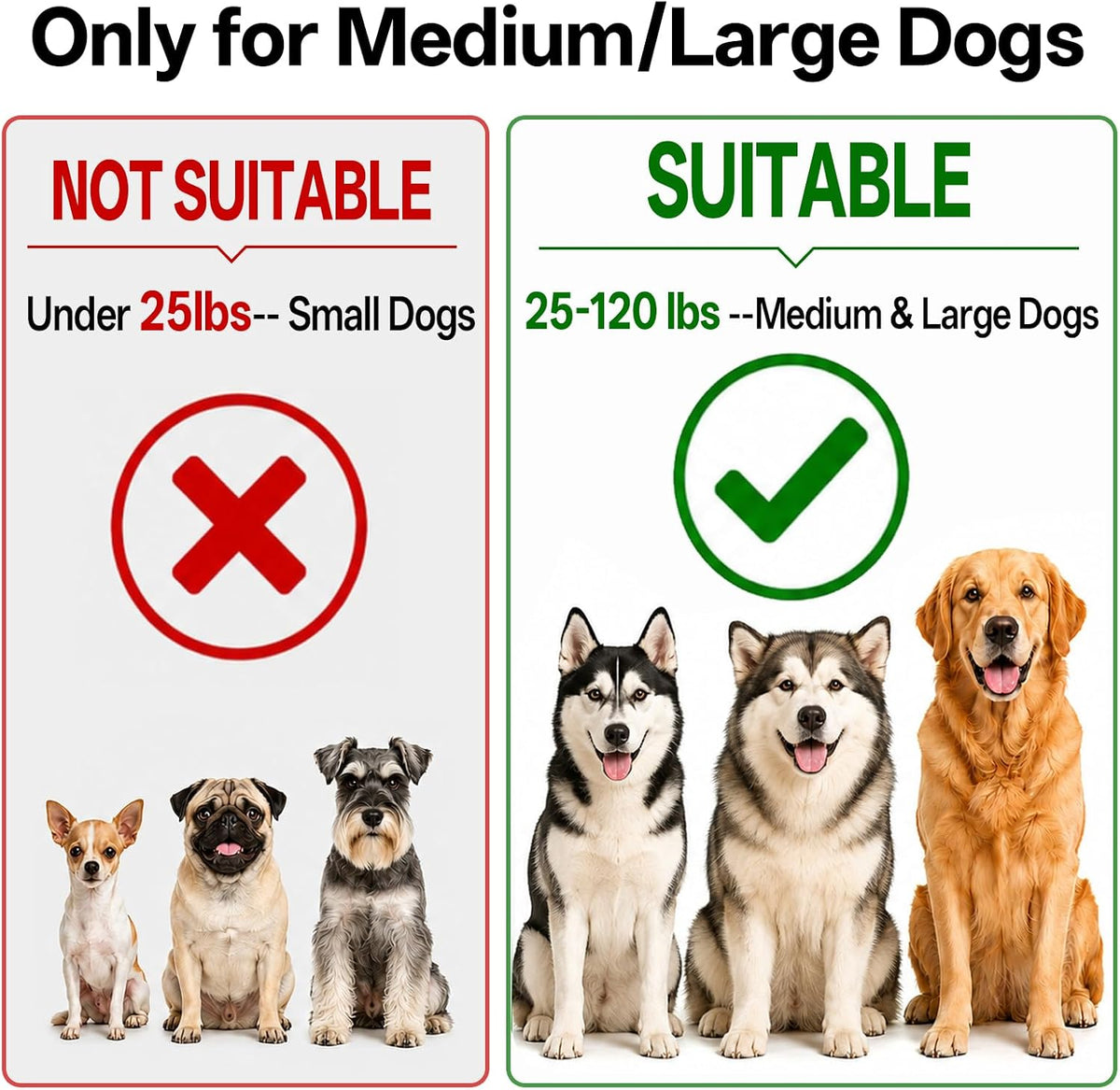 Hands Free Dog Lead 108Kg Heavy Duty Bungee Leash with Bum Bag