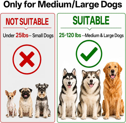 Hands Free Dog Lead 108Kg Heavy Duty Bungee Leash with Bum Bag