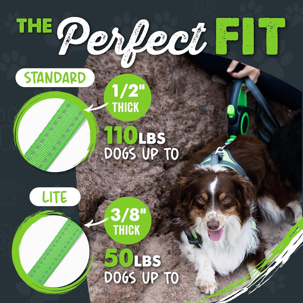 Retractable Dog Lead 2.0 | 5 M Heavy Duty Reflective Extendable Dog Lead for Pets up to 22 Kg. Tangle Free Design W/One Touch Quick-Lock Braking System & Anti-Slip Handle. (Green/Lite)