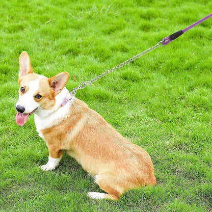anti Chew Dog Lead - Heavy Duty Rope Dog Leash with No Bite Chain and Soft Padded Handle, No Tangle Strong Leash with Reflective Threads