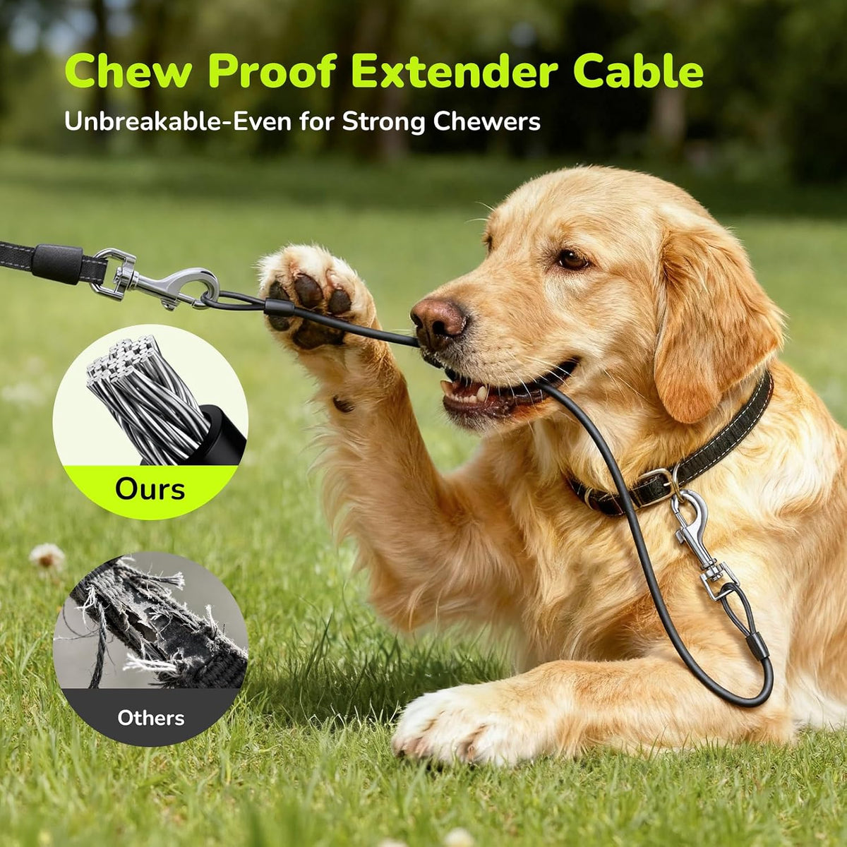 5M Retractable Dog Lead with Chew-Proof Cable, One-Button Control & Tangle-Free, Sturdy Nylon Lead with Reflective Strips, Ergonomic Handle, Extendable Dog Lead for Medium Large Dogs up to 50 Kg