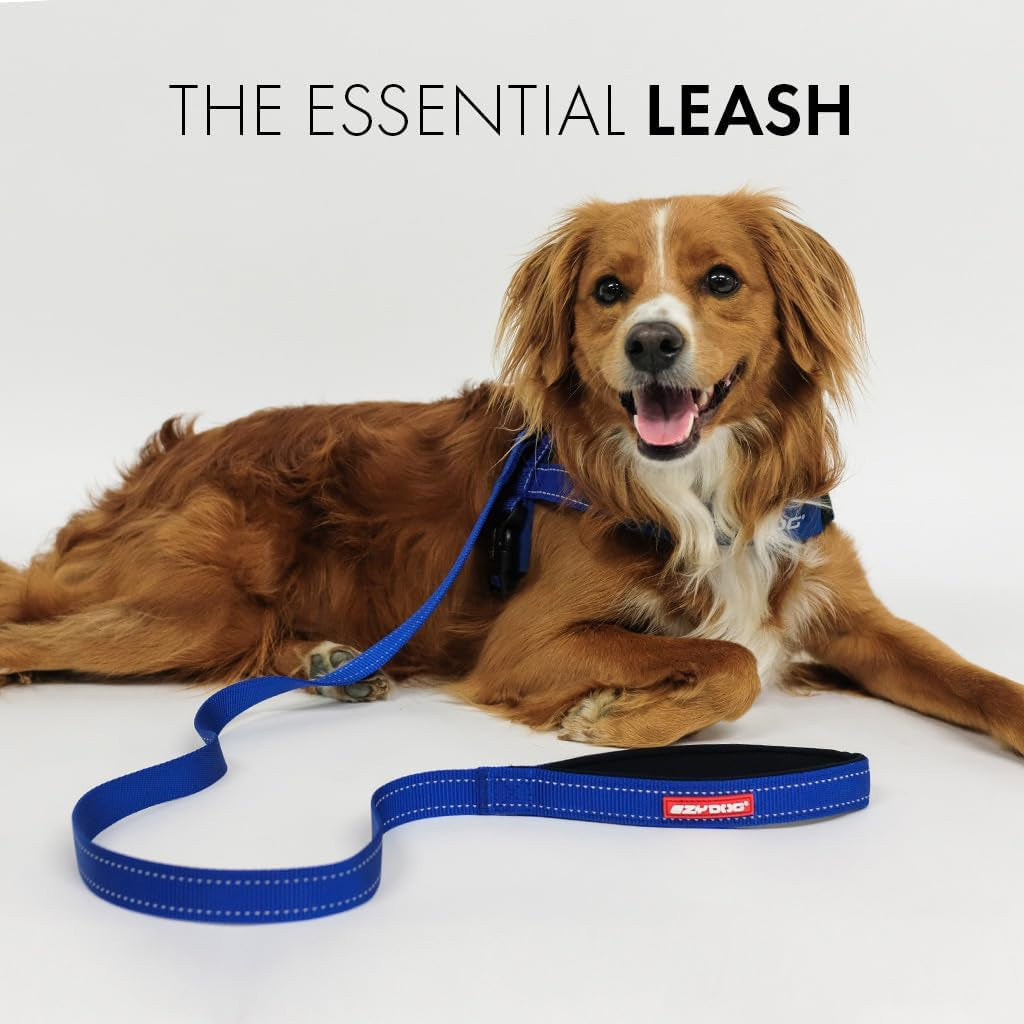 Essential Soft Webbing Lead with Neoprene Handle, Reflective, Tough Nylon, Carbon Snap Clip (120Cm, Khaki)