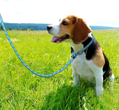 Slip Lead for Dogs No Pull Training Lead 1.8M Reflective Dog Lead with Padded Handle & Anti-Choke Stopper, S/M/L for Small Medium Large Dogs