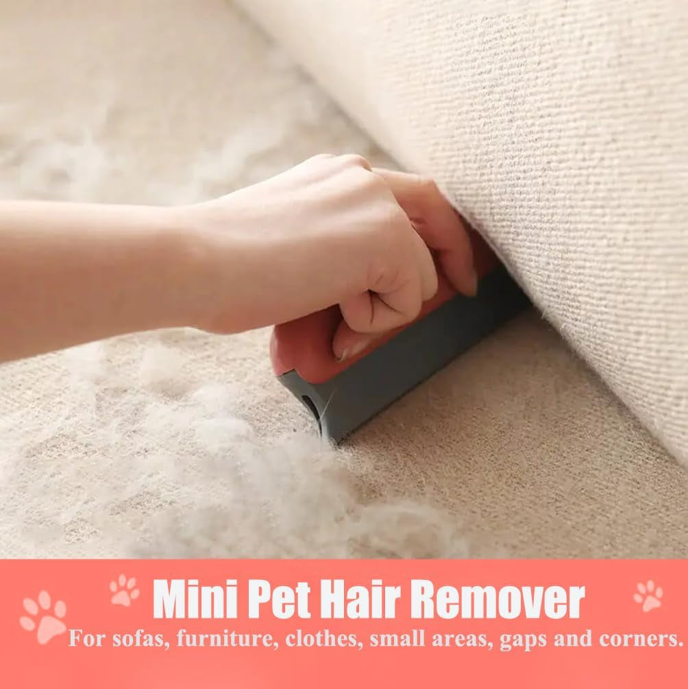 Upgrated Carpet Rake for Pet Hair Removal with 152Cm Long Handle