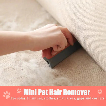 Upgrated Carpet Rake for Pet Hair Removal with 152Cm Long Handle