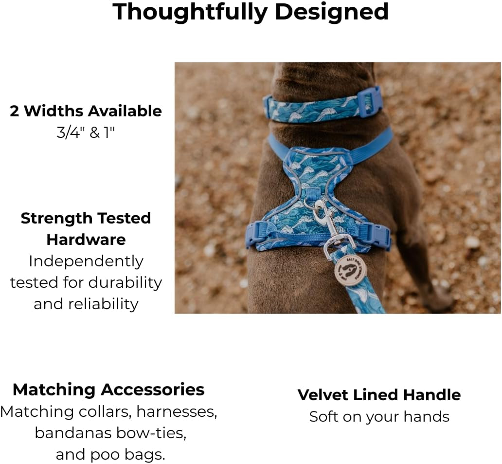 Coastal Dog Lead –Soft Velvet Handle Dog Lead for Small, Medium, & Large Dogs – by  (Ocean Life, 3/4")