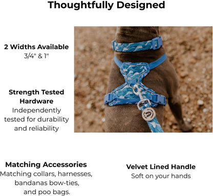Coastal Dog Lead –Soft Velvet Handle Dog Lead for Small, Medium, & Large Dogs – by  (Ocean Life, 3/4")