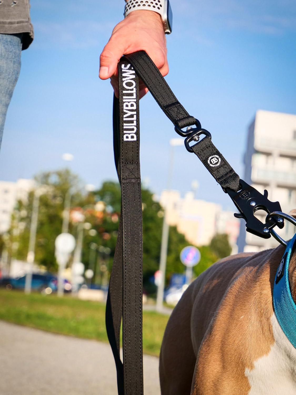 Anti-Tangle Swivel Combat Dog Lead – Khaki