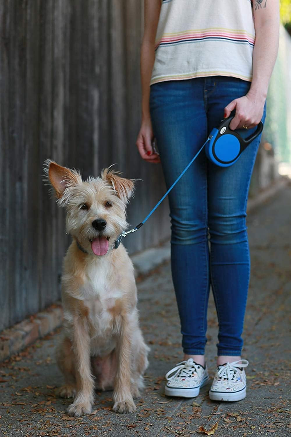 Retractable Dog Lead for Small Medium Dogs up to 20KG, 5M, Blue